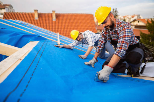 Best Roof Gutter Cleaning  in Granville, OH